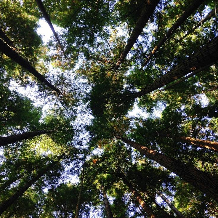 Scenic nature travel hero image